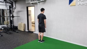Shoulder In & out Standing / Wall