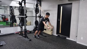 Shoulder In & out / TRX