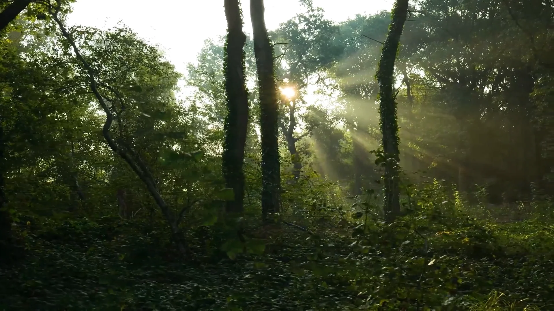 Création sonore autour de 