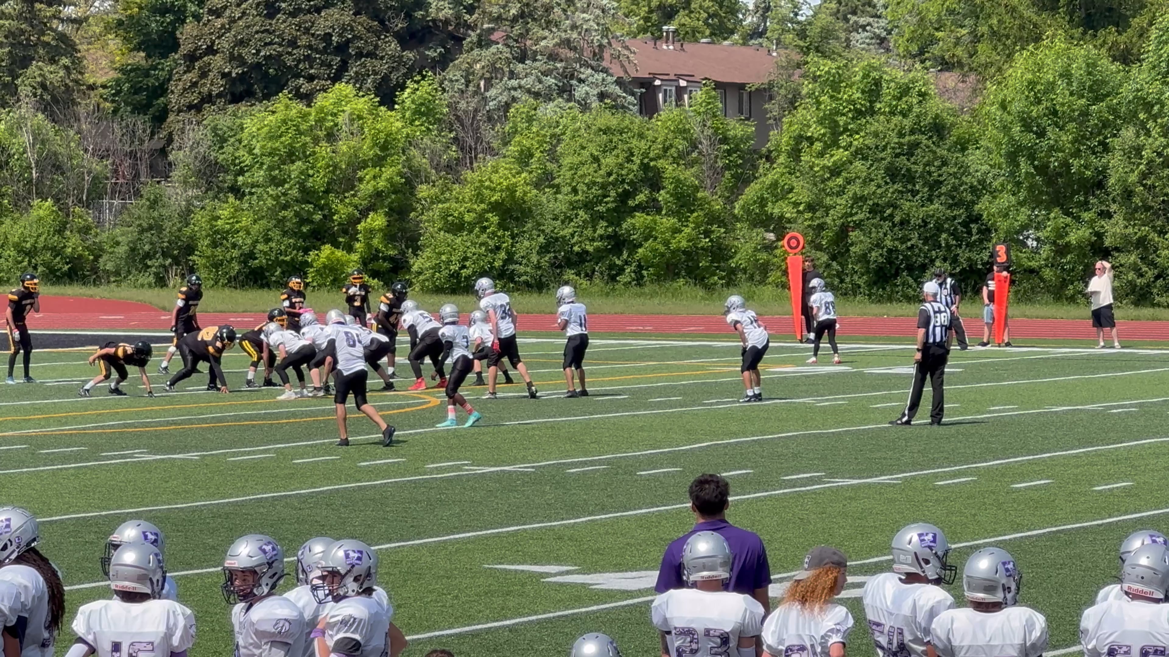 Watch nico sor on PurpleShift