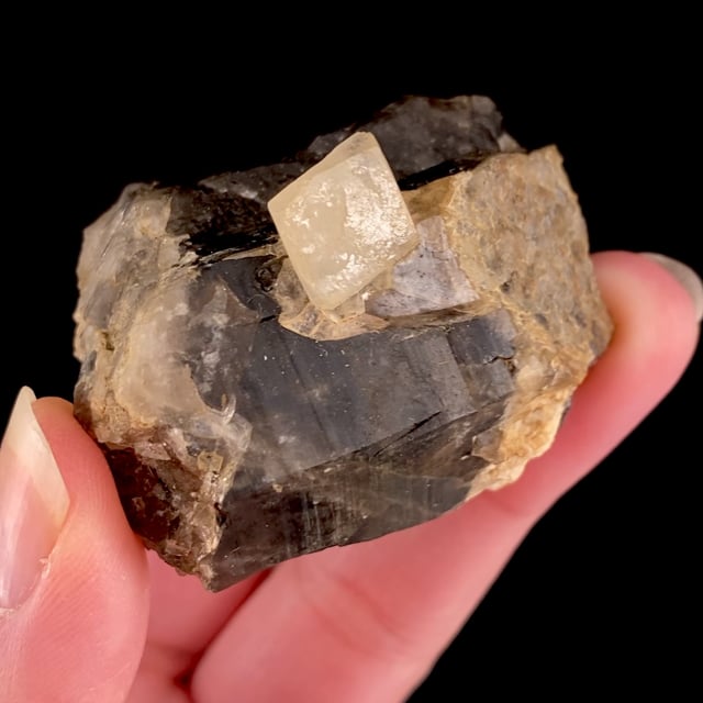 Phenakite on Smoky Quartz