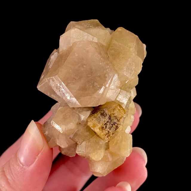 Grossular Garnet with Vesuvianite