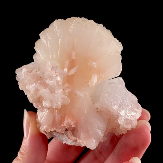 Stilbite-(Ca) (''bow tie'') with Fluorapophyllite-(K)