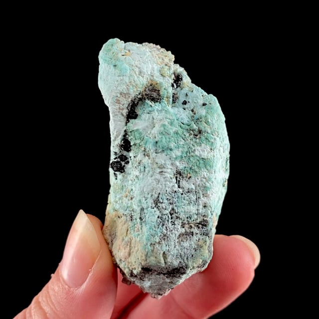 Turquoise pseudomorph after Apatite