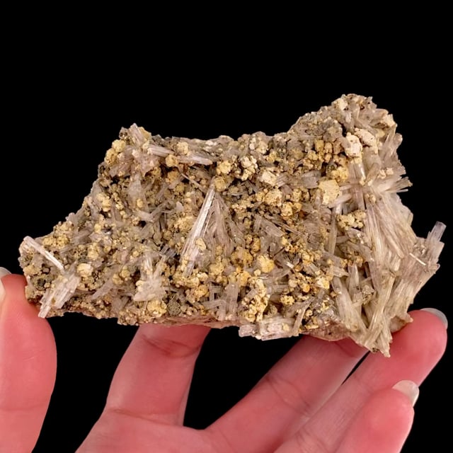 Muscovite var: Sericite pseudomorph after Orthoclase (RARE locality ...
