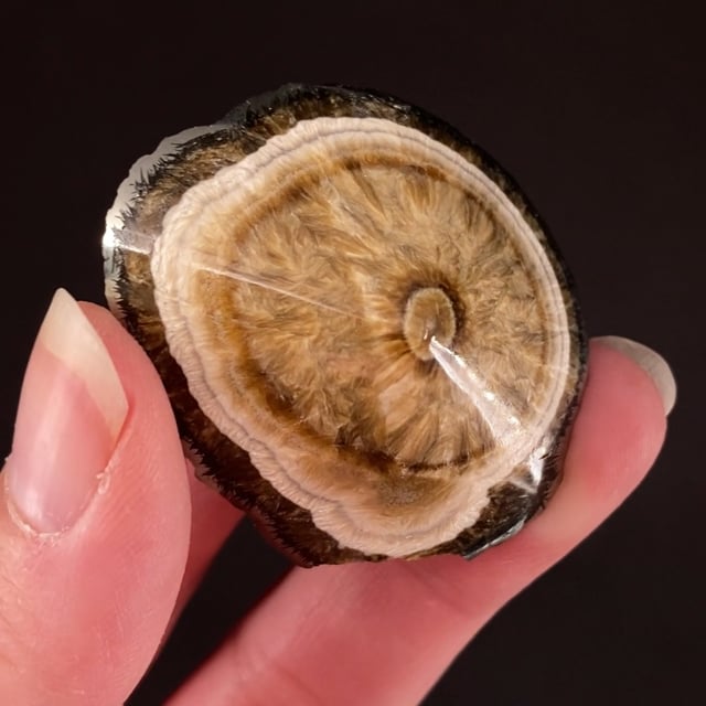 Baryte and Marcasite (polished) (fluorescent)