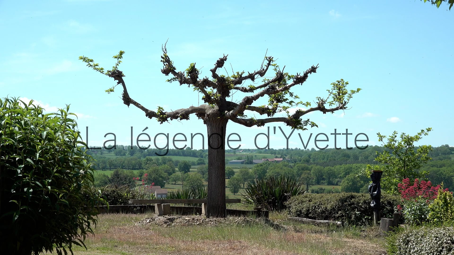 04_LEGENDE_YVETTE_HDST