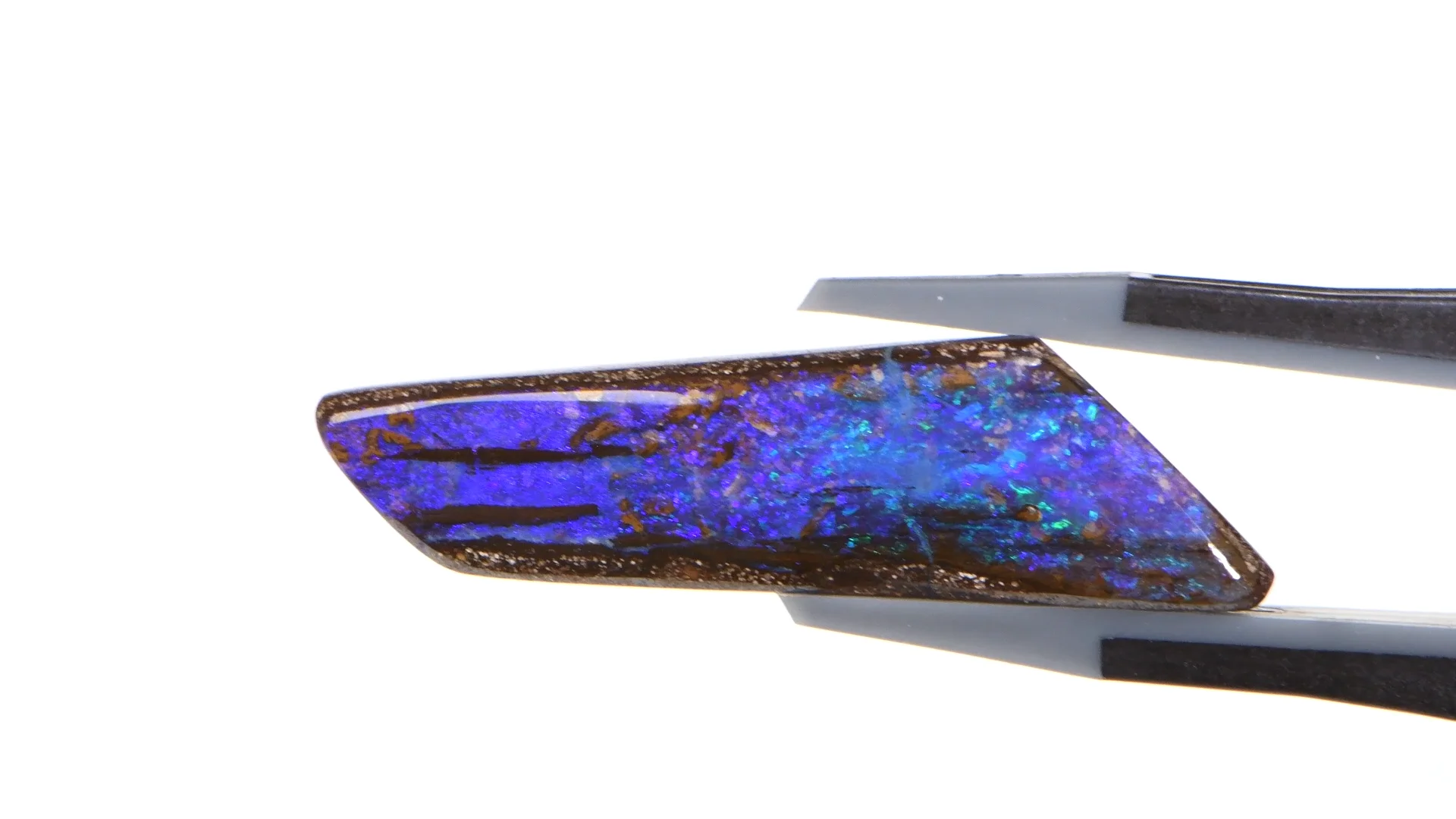 10.8ct Natural Boulder Opal Wood Fossil | Opal Galaxy