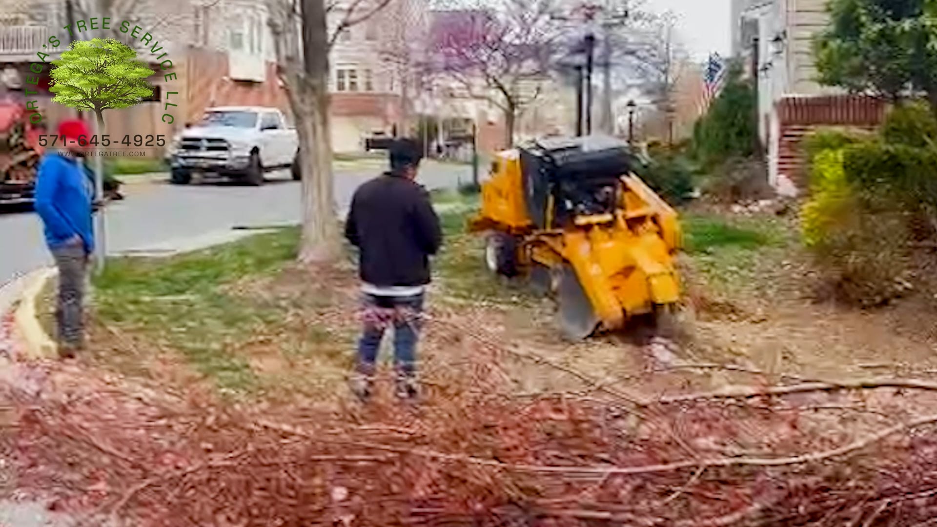 Professional Tree Trimming and Removal Services