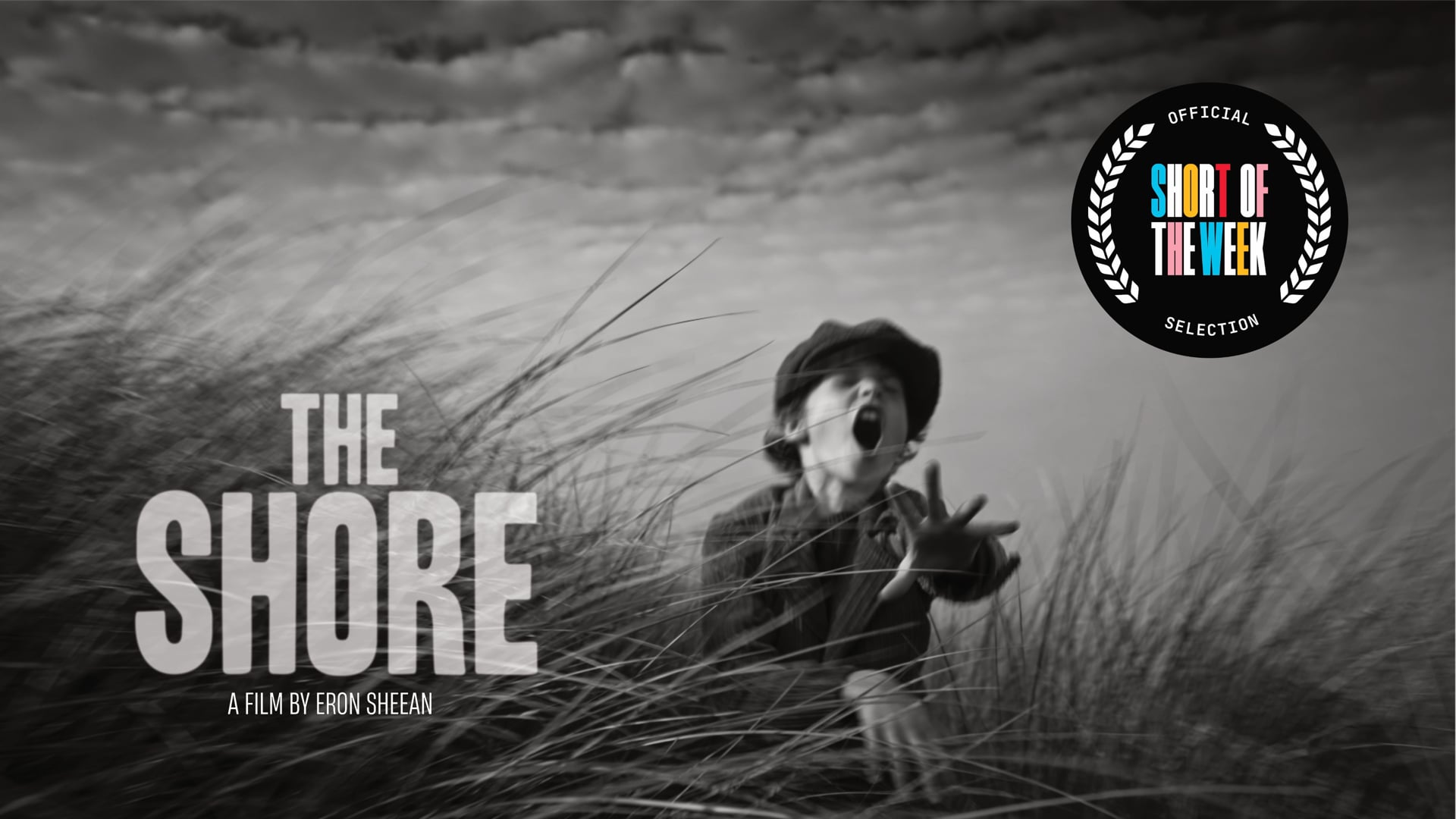 The Shore