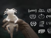 Zoon (2022)