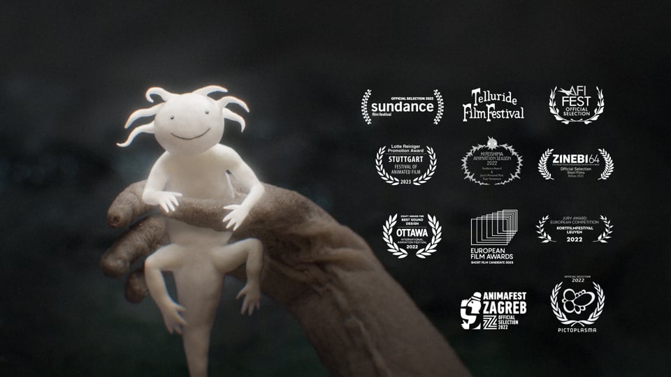 Zoon by Jonatan Schwenk