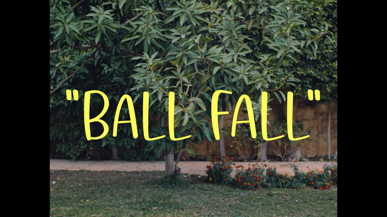 LA VACHE QUI RIT | BALL FALL