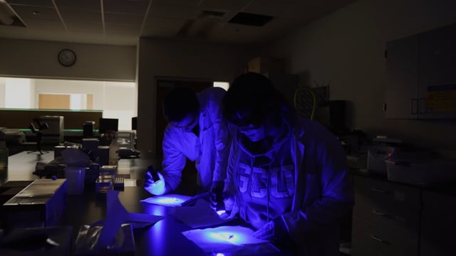Button to play video: Forensic Science Degree for True Crime Fans
