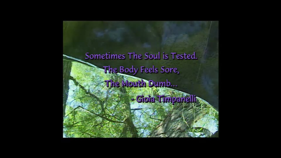 Tracing Soul