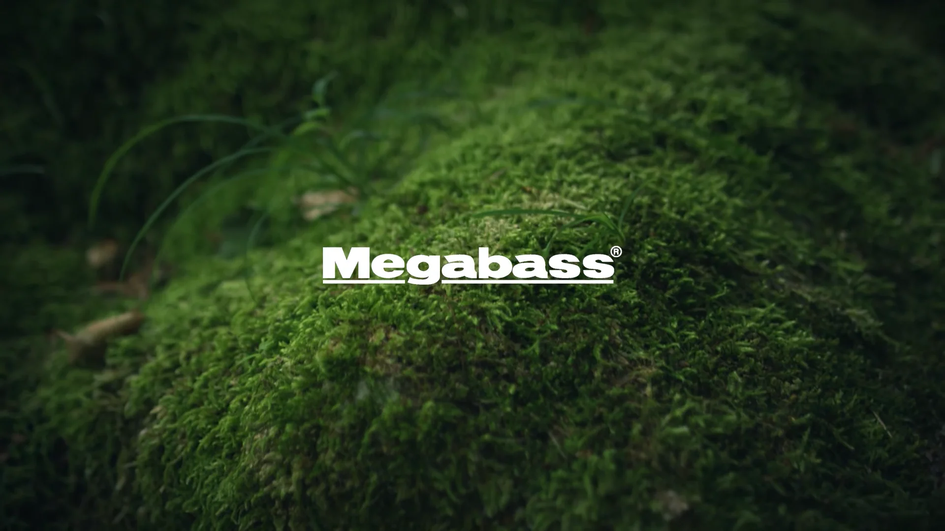 Megabass Great Hunting Haruzemi Topwater Cicada - 1 Inch Megabass Great Hunting Haruzemi Topwater Cicada - 1 Inch