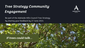 Tree Strategy 2024 Community Engagement