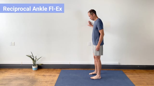 Example Exercise 1: Reciprocal Ankle Fl-Ex