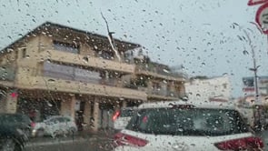 Una primavera amb molta pluja i poca tramuntana