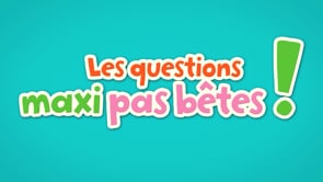 LES QUESTIONS MAXI PAS BÊTES