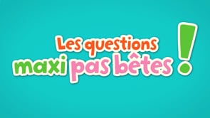 LES QUESTIONS MAXI PAS BÊTES