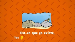 LES QUESTIONS MAXI PAS BÊTES