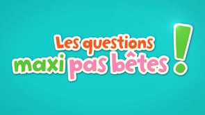 LES QUESTIONS MAXI PAS BÊTES
