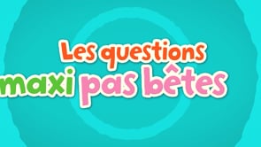 LES QUESTIONS MAXI PAS BÊTES