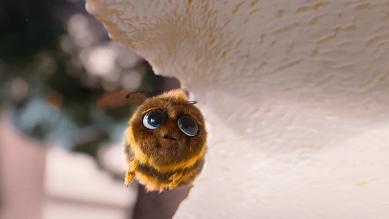 Vorschaubild von Glace