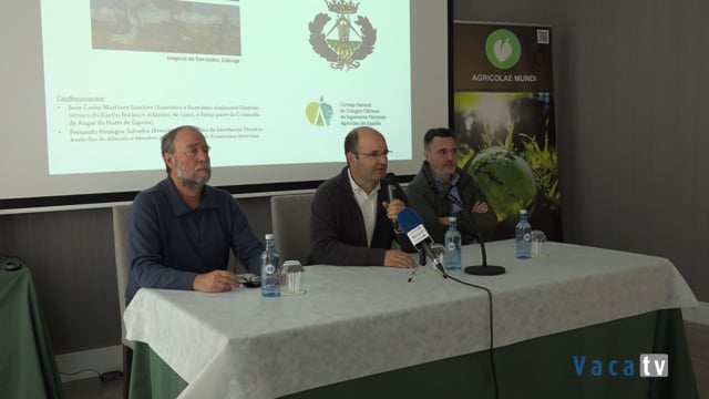 Os médicos das plantas, os médicos da terra