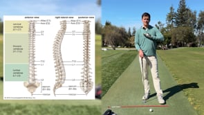 Axis Tilt in Downswing Lumbar or Thoracic Spine