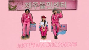 HOT PINK DOLPHINS