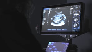 Vision Virginia 2024 - Pregnancy Support | SBCV