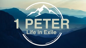 God's Personal Involvement In Our Suffering and Deliverance
