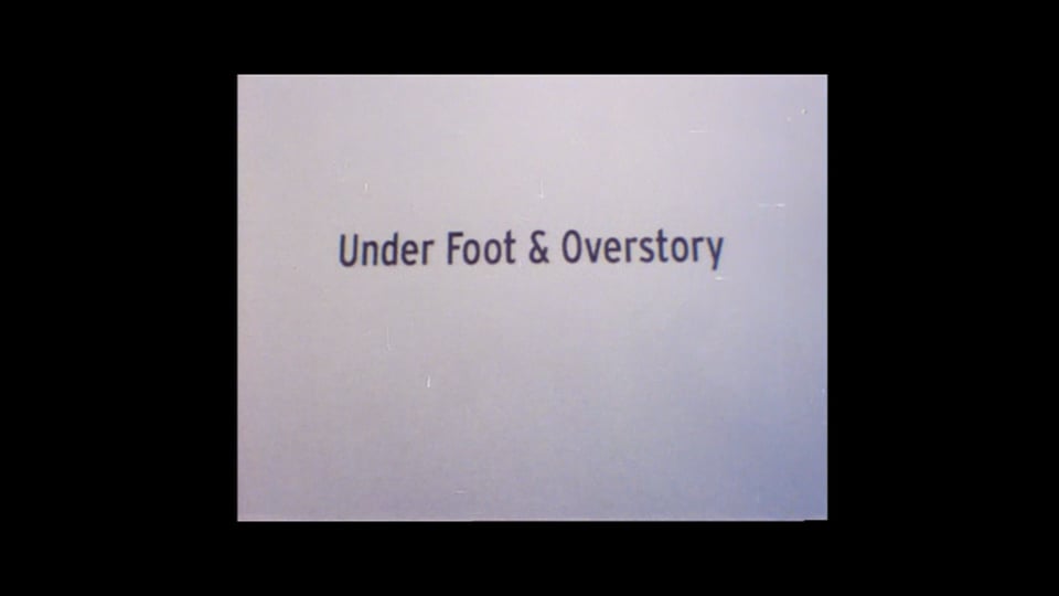 Underfoot & Overstory