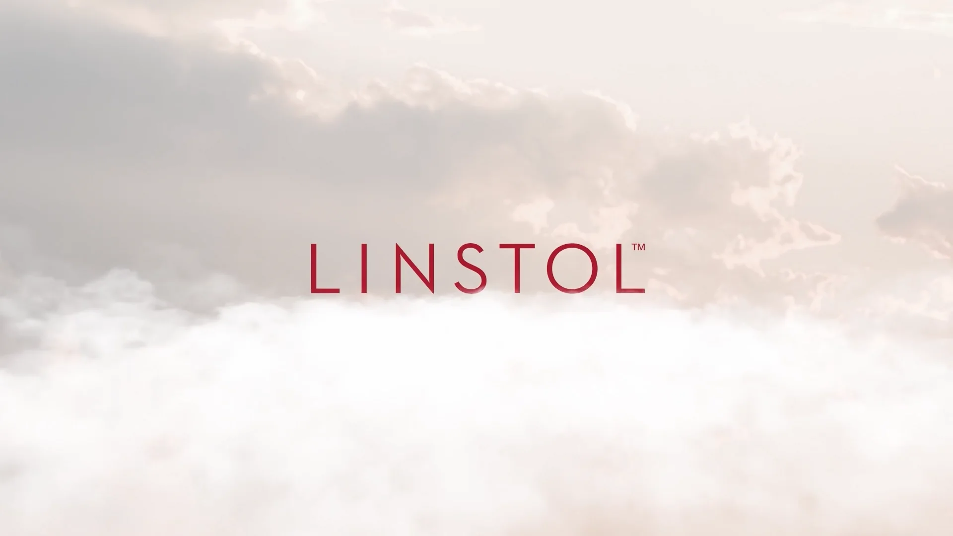 Linstol WTCE 2024