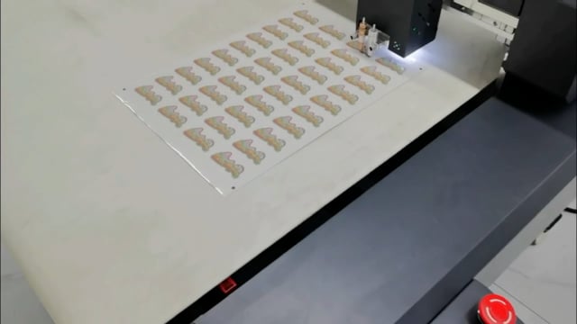 Dual Blade Kiss Cutting and Cutting Through by Flatbed Cutting Machine with Vacuum Conveyor Table