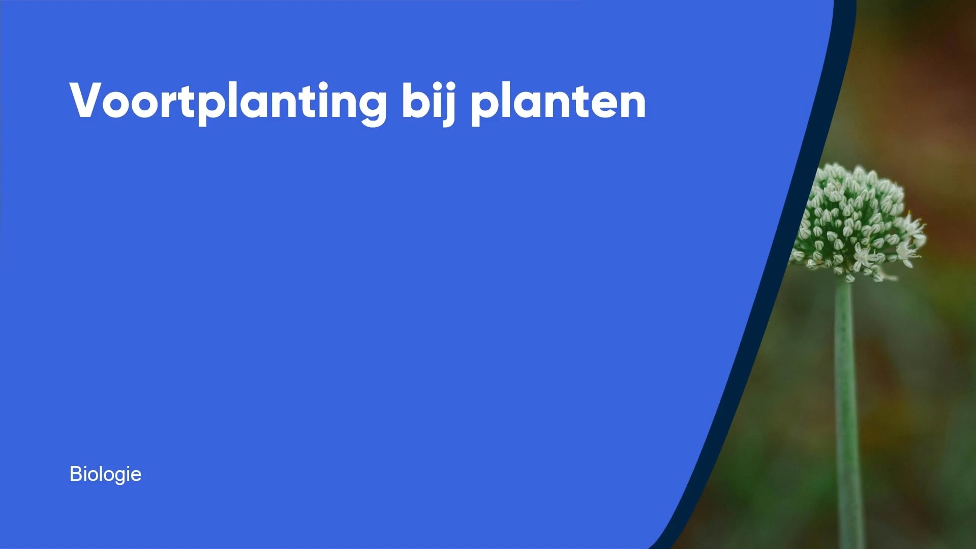 Voortplanting bij planten