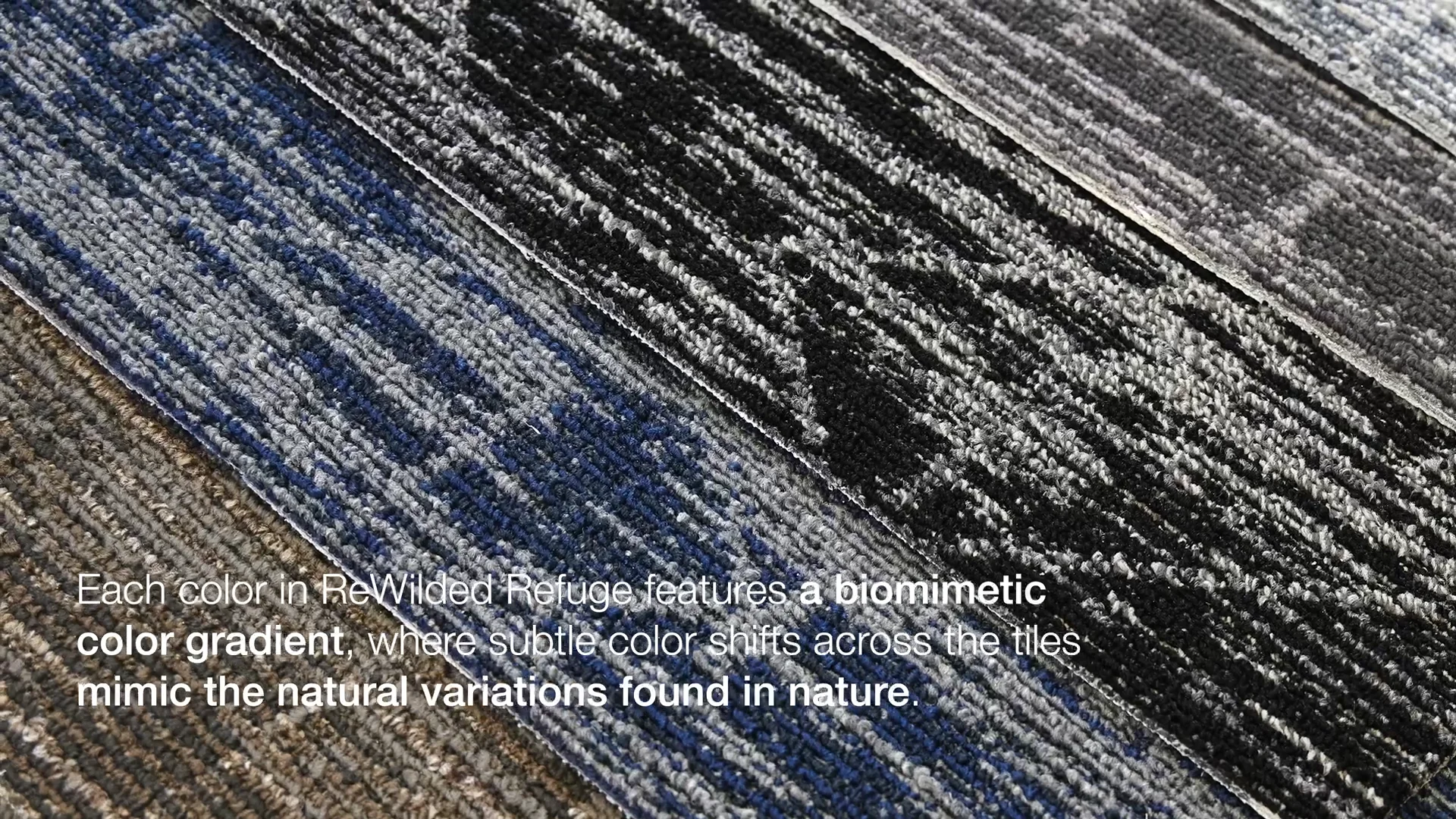 ReWilded Refuge | Carpet Tile Collection | Mohawk Group