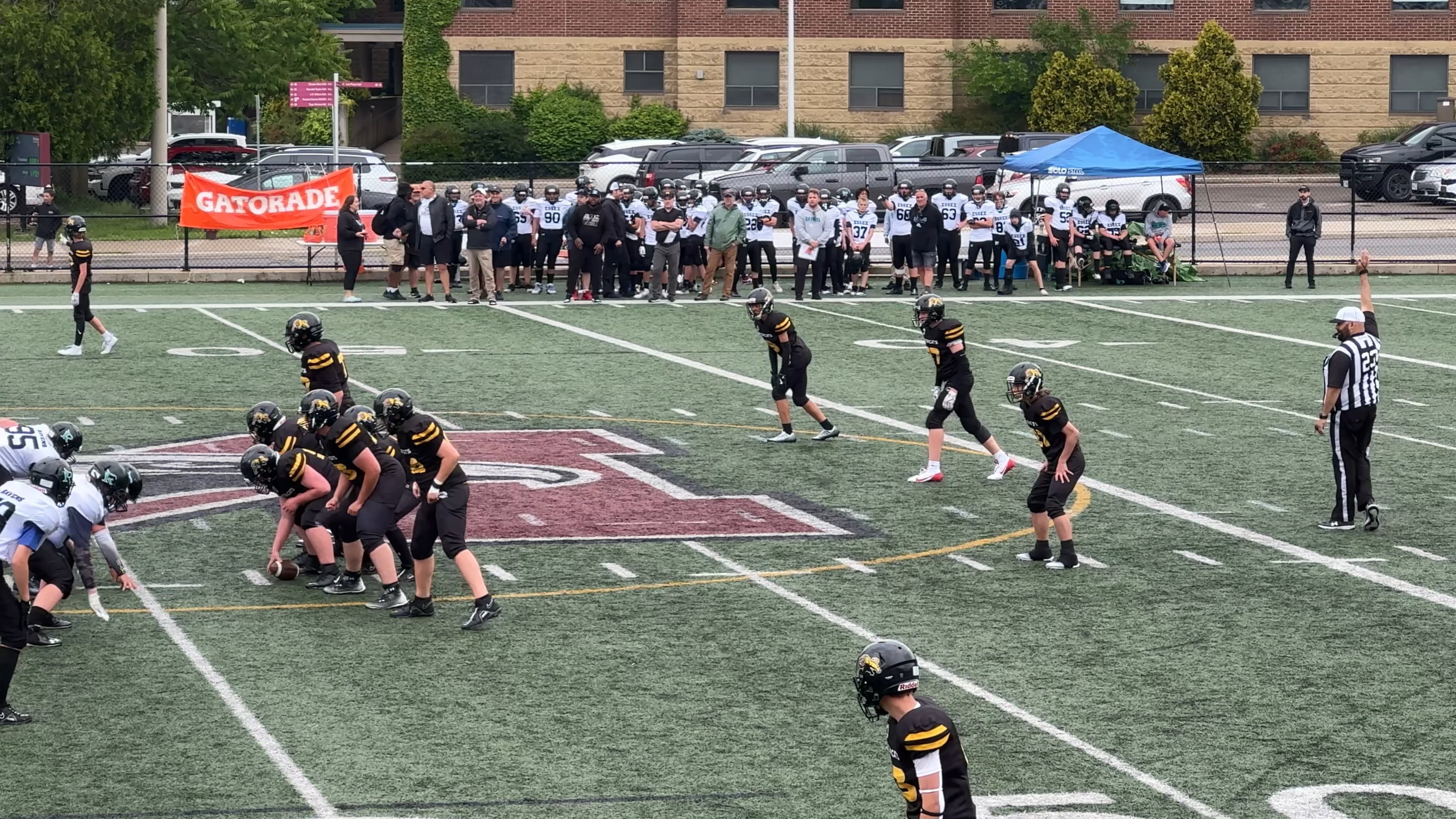 Watch owen whitehorn on PurpleShift