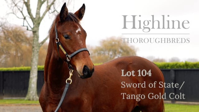 Lot 104