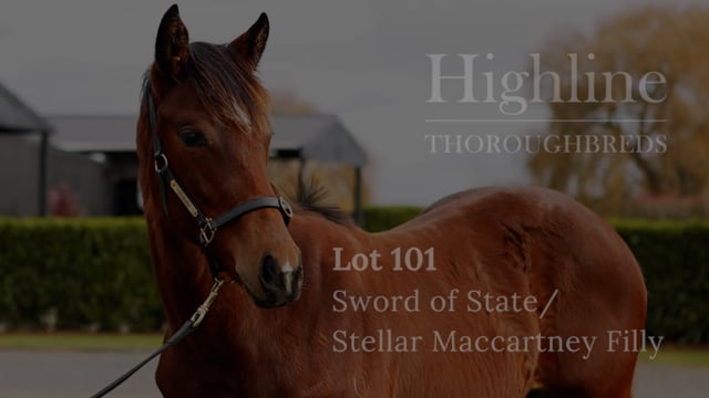 Lot 101