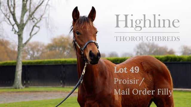 Lot 49