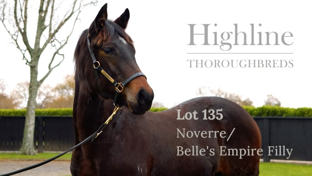 Lot 135