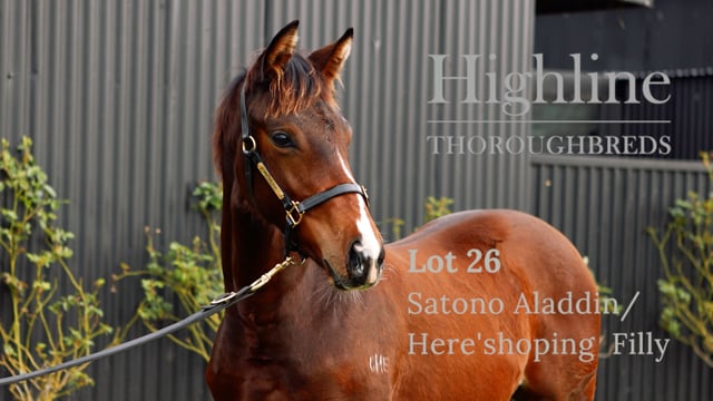 Lot 26