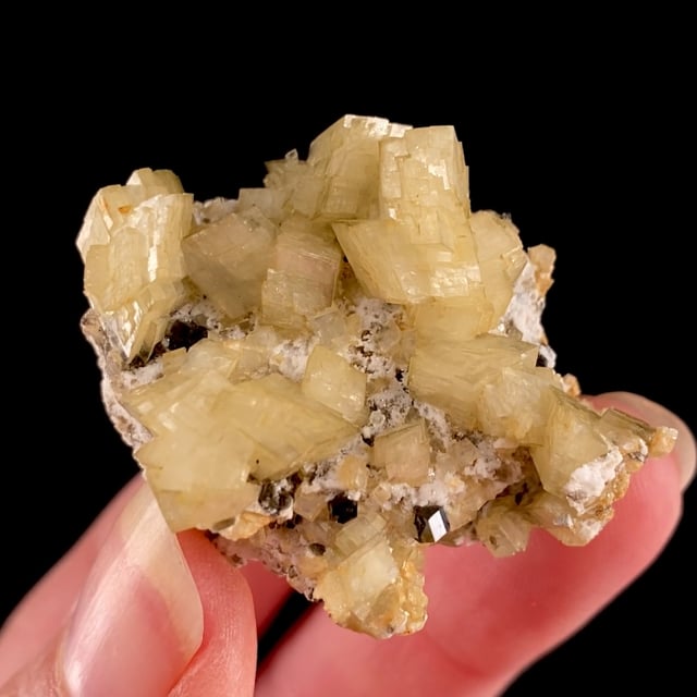Dolomite with Muscovite and Fluorapatite