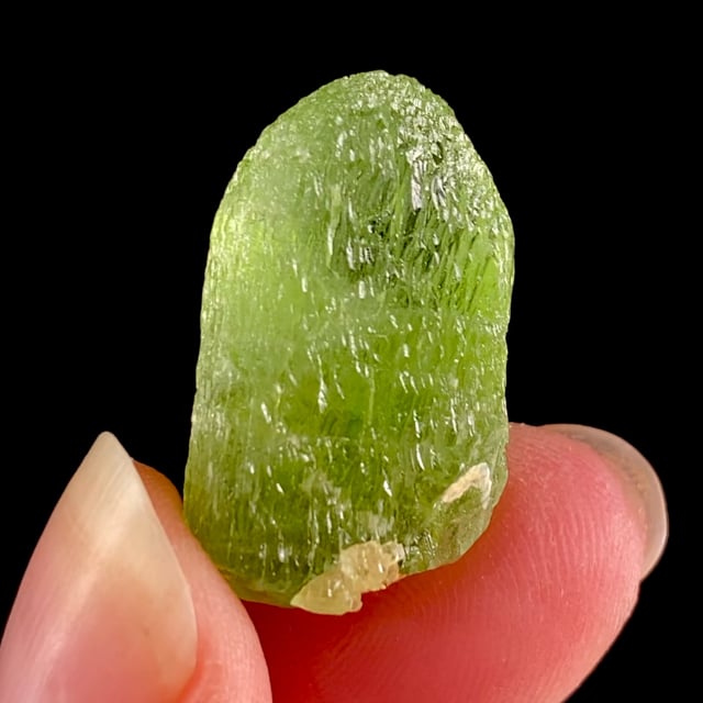 Forsterite var: Peridot (gemmy crystal)