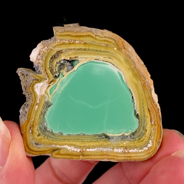 Variscite with Crandallite and Wardite (classic locality)