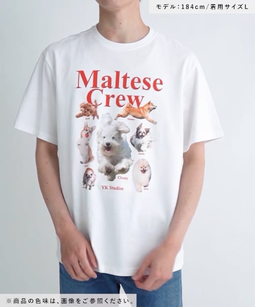 UNISEX】Wai Kei／MalteseCrew Tシャツ | [公式]エーランド