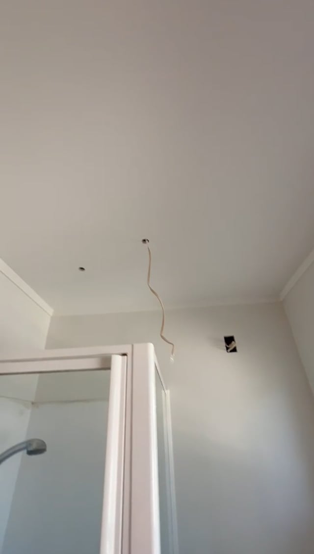 Plaster Repairs in Auckland